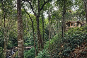 Tranquil Stream Side Cottage | In-room safe, desk, laptop workspace, blackout curtains - Nirjhara Coorg  (Somvarpet)