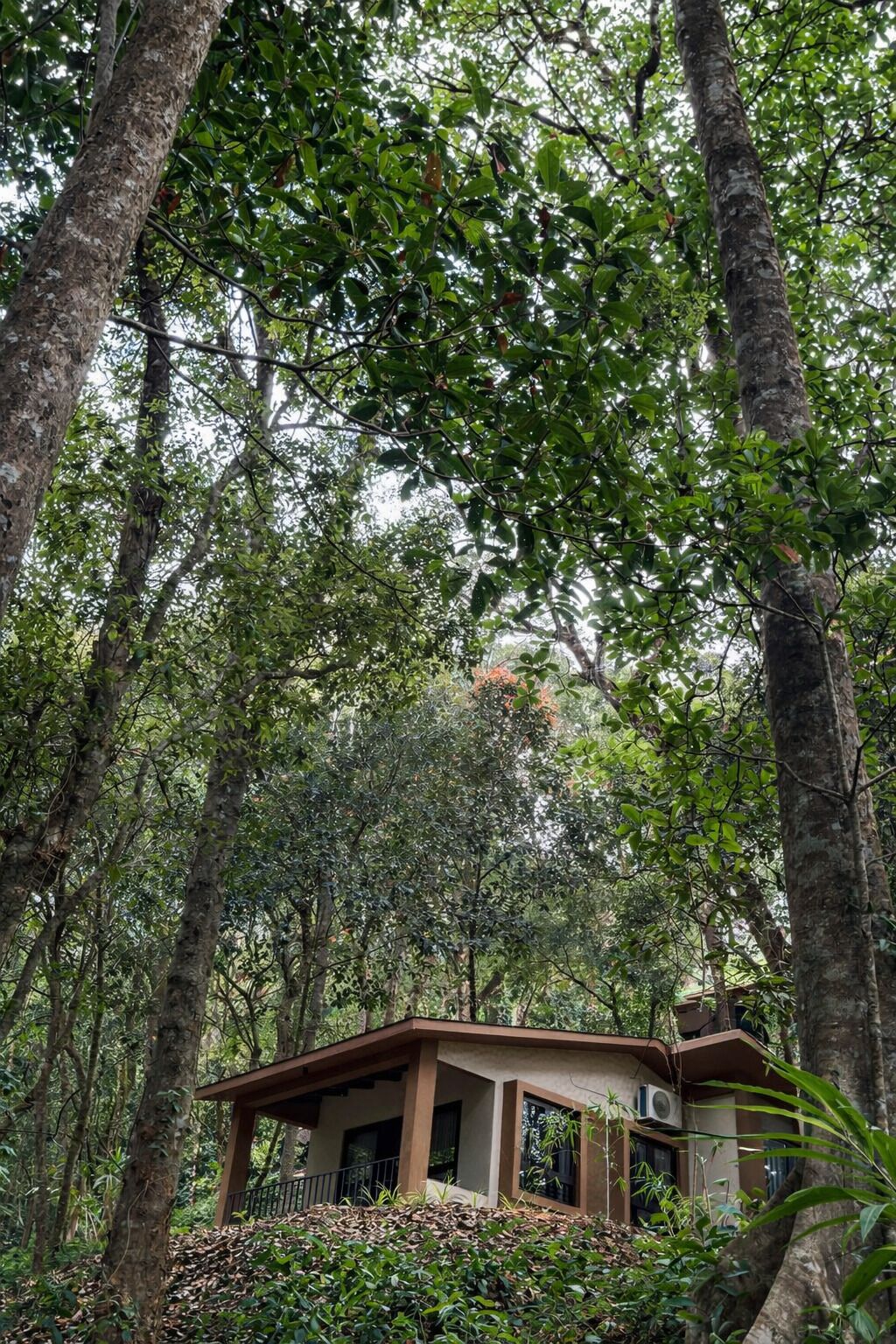 Ein kleines, eingeschossiges Gebäude, umgeben von dichtem Wald.