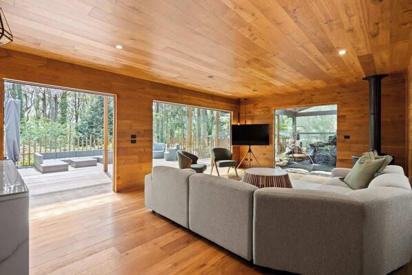 TV, fireplace, books, offices