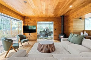 Télévision, cheminée, livres, espaces bureaux