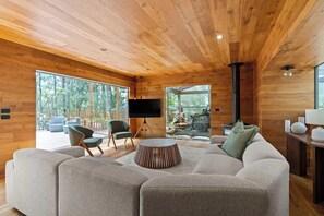 TV, fireplace, foosball, offices