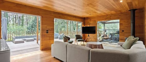 Fernseher, Kamin, Bücher, Arbeitsbereiche