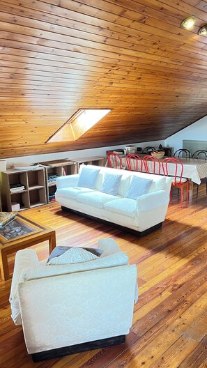 تلفزيون، مدفأة