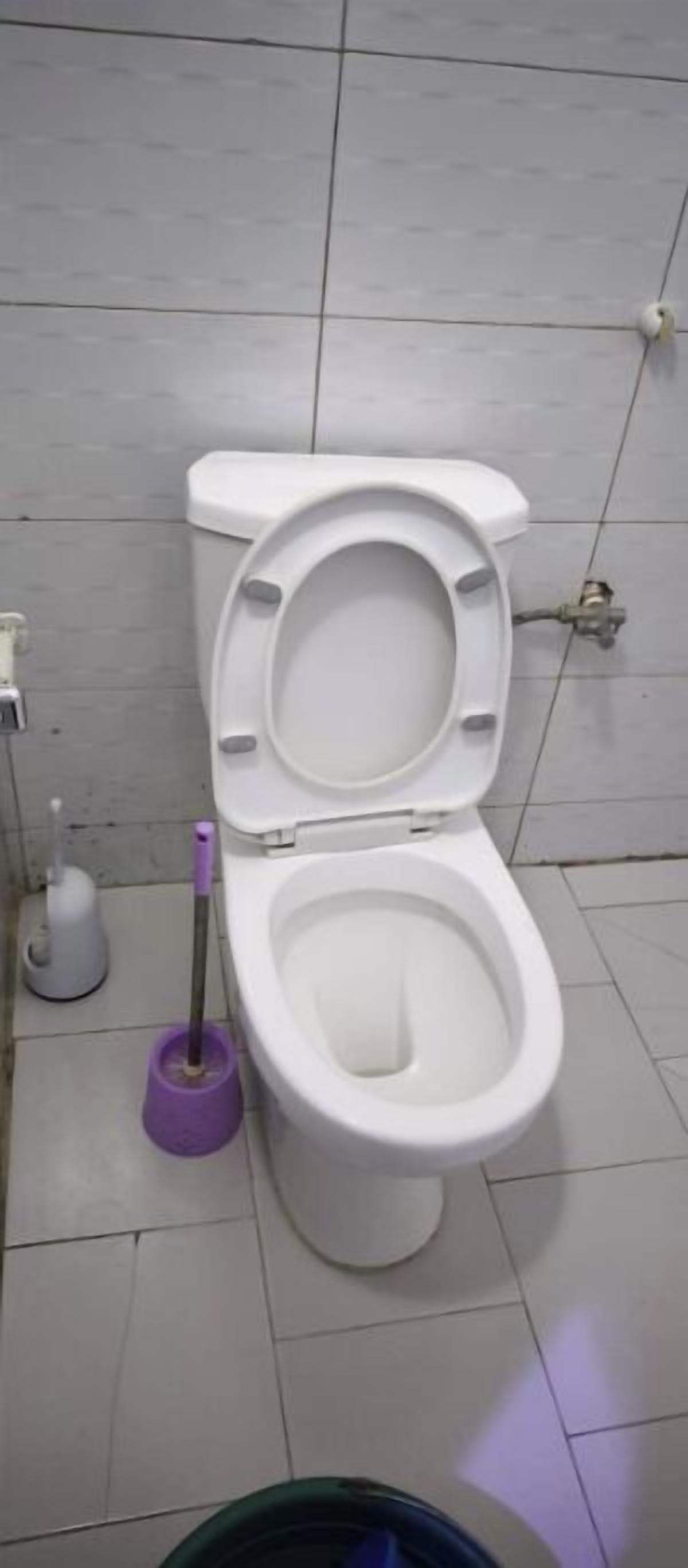 Regadera, toallas, jabón, papel de baño 