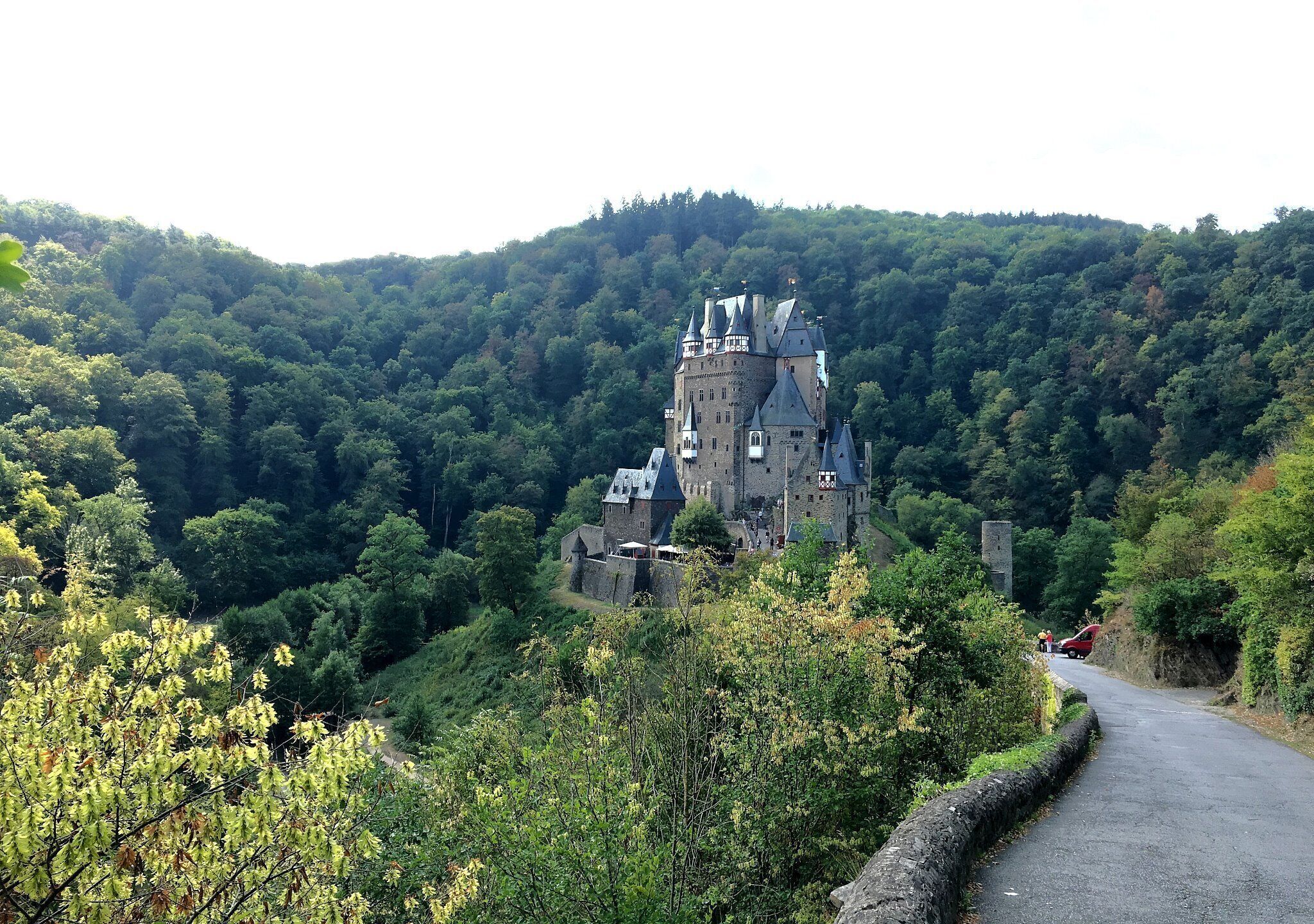 A castle on a hill surrounded by dense forest.