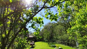 Een weelderige groene tuin met een houten terras en een ligstoel.