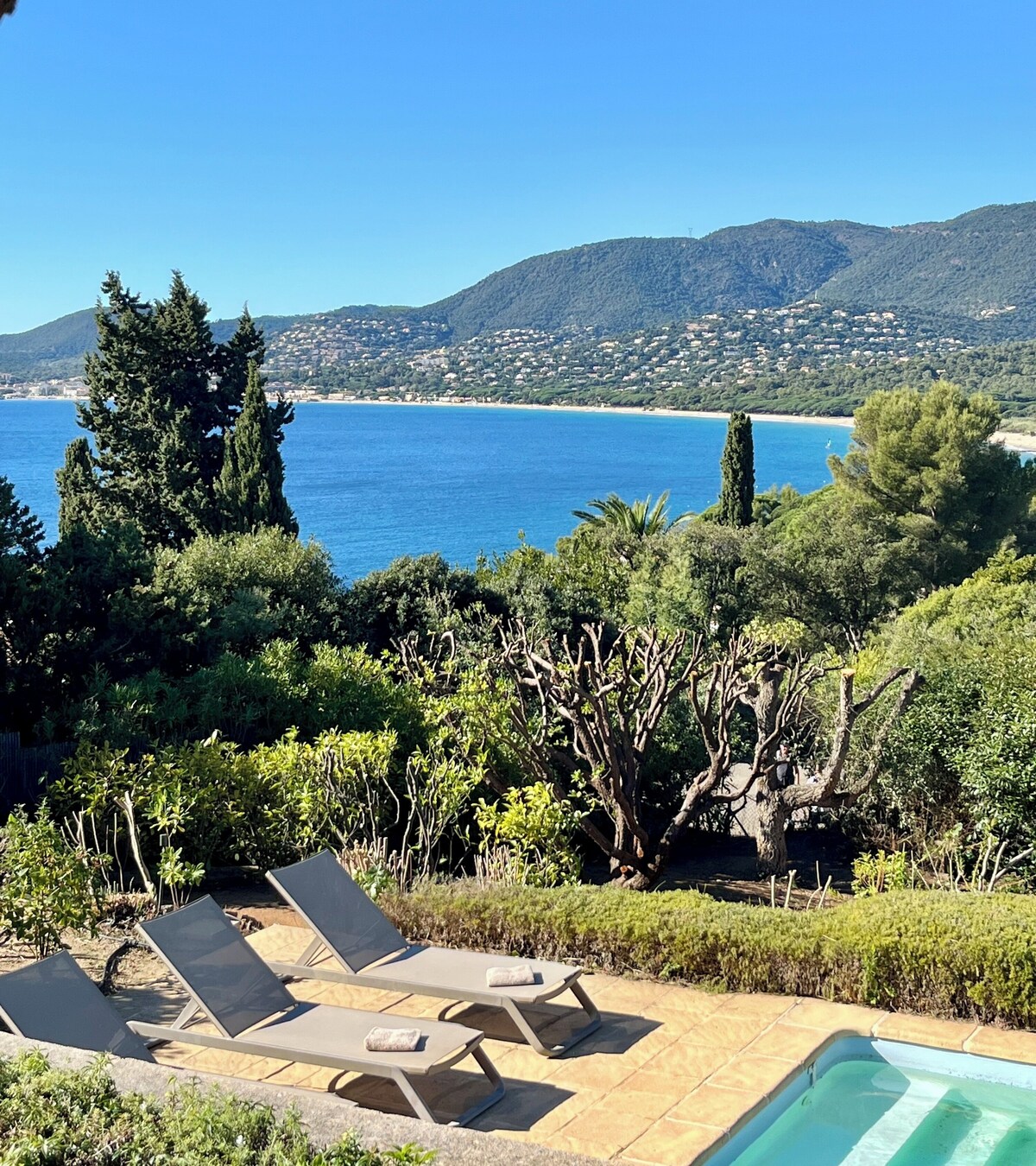 Bild für Gastgeberprofil