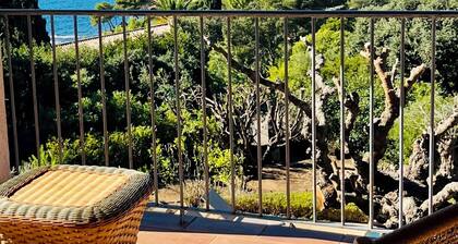 Villa Doufer, exceptional sea view, beach 100m away, sleeps 8.