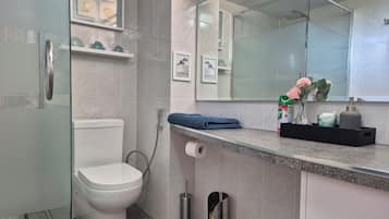 Shower, hair dryer, bidet, towels