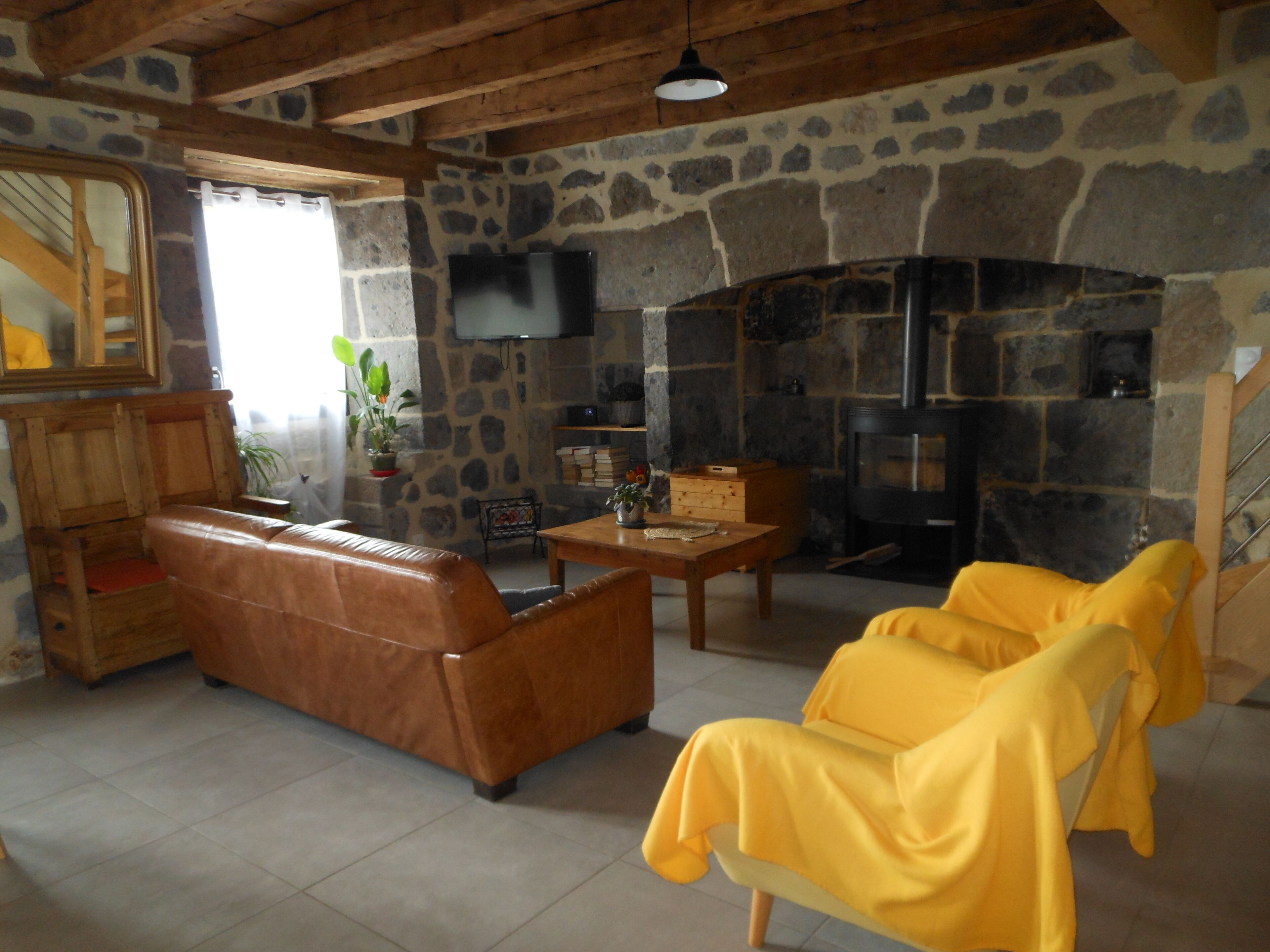 Smart-TV, Kamin