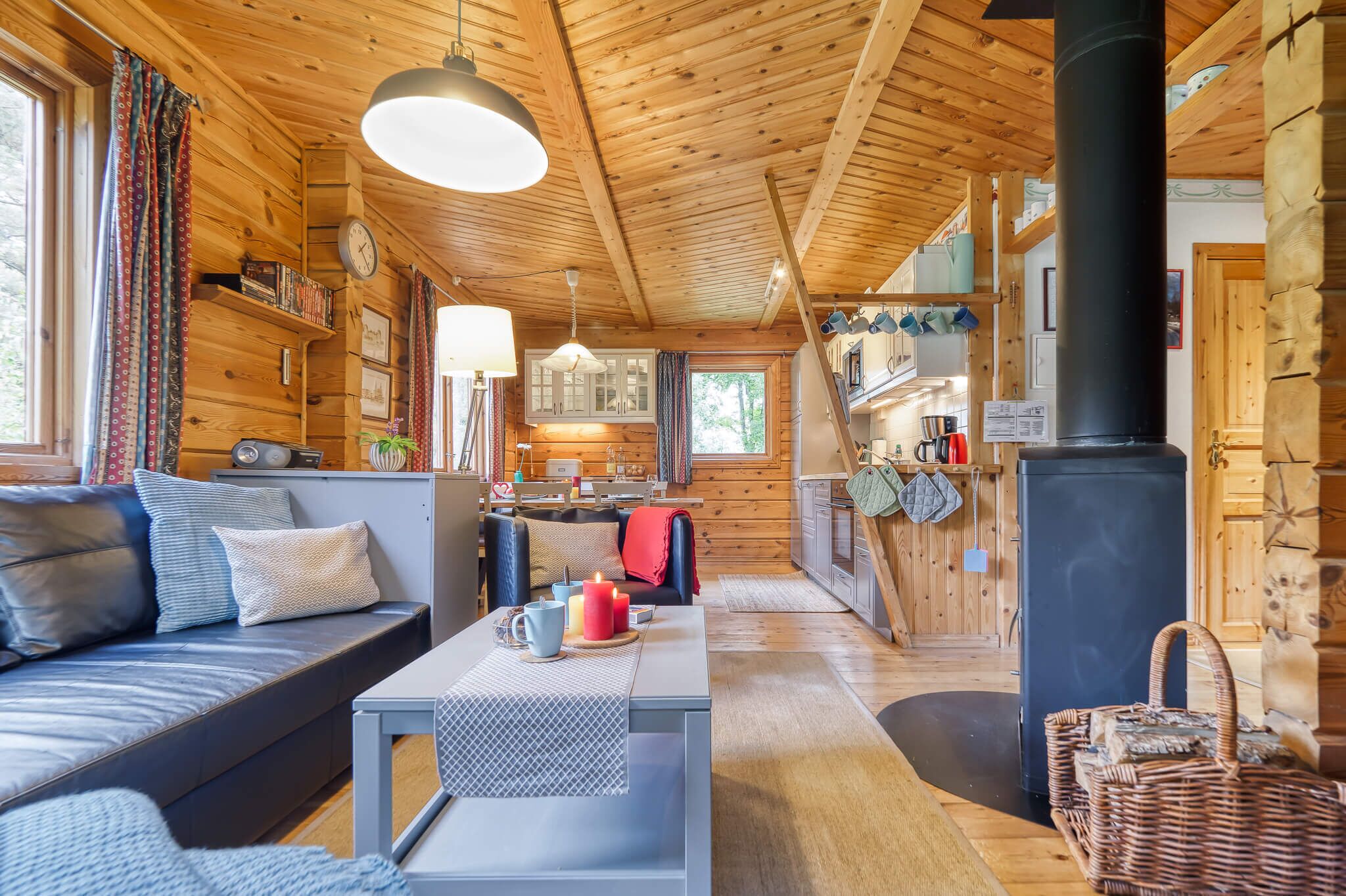 Una Smart TV, una chimenea, un reproductor de DVD, libros