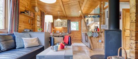 Smart TV, chimenea, reproductor de DVD y libros