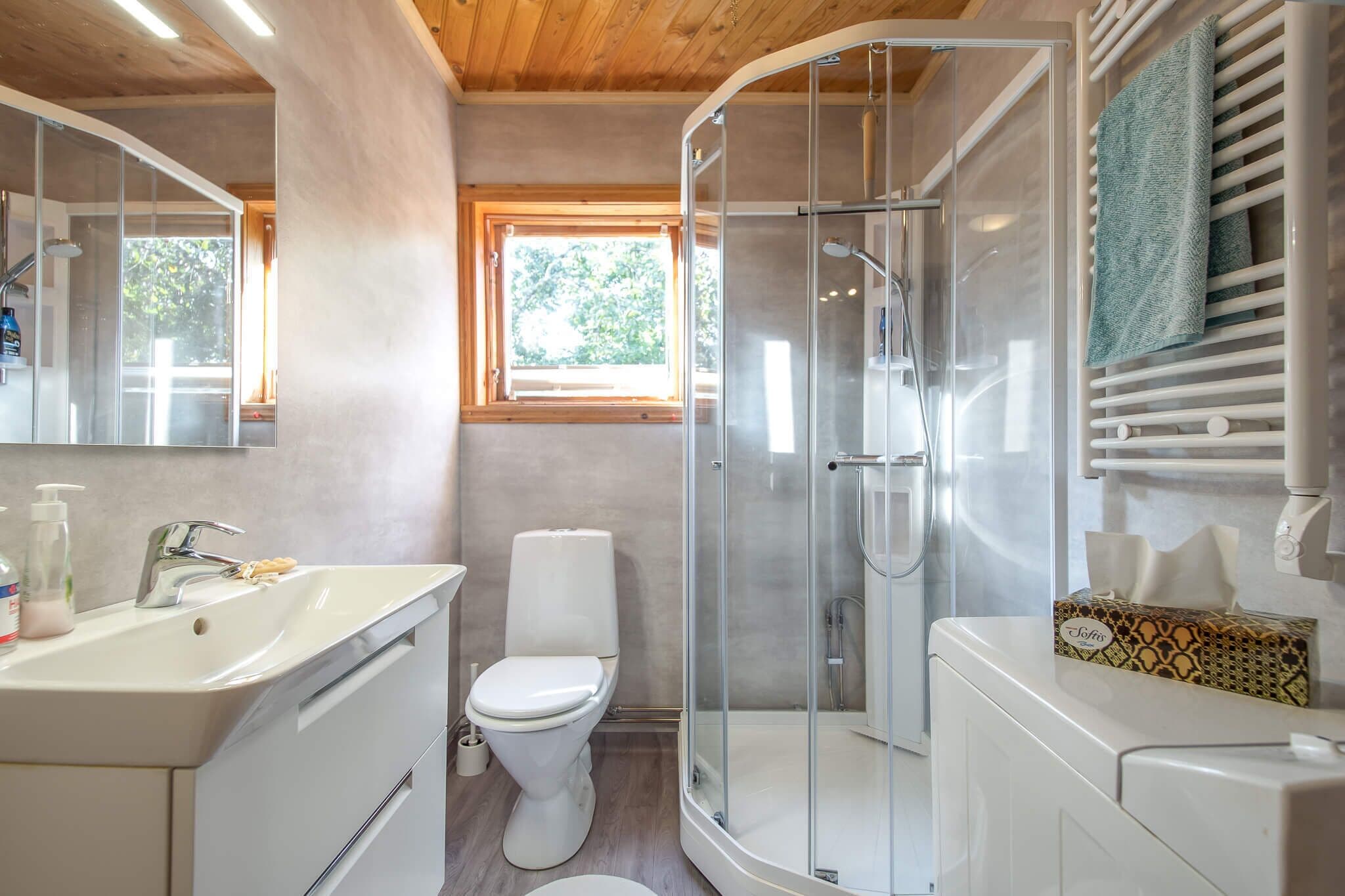 Shower, hair dryer, soap, toilet paper
