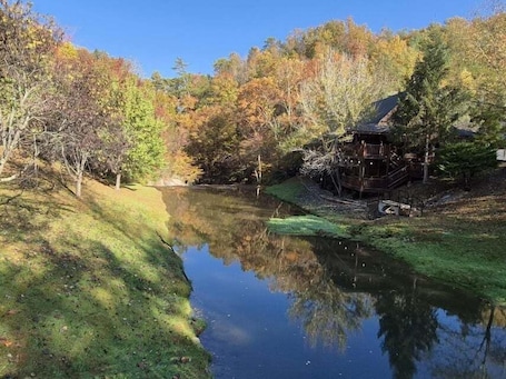 Cabaña, 2 habitaciones | Jardines del alojamiento