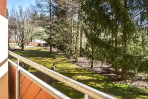 Vista desde la habitación