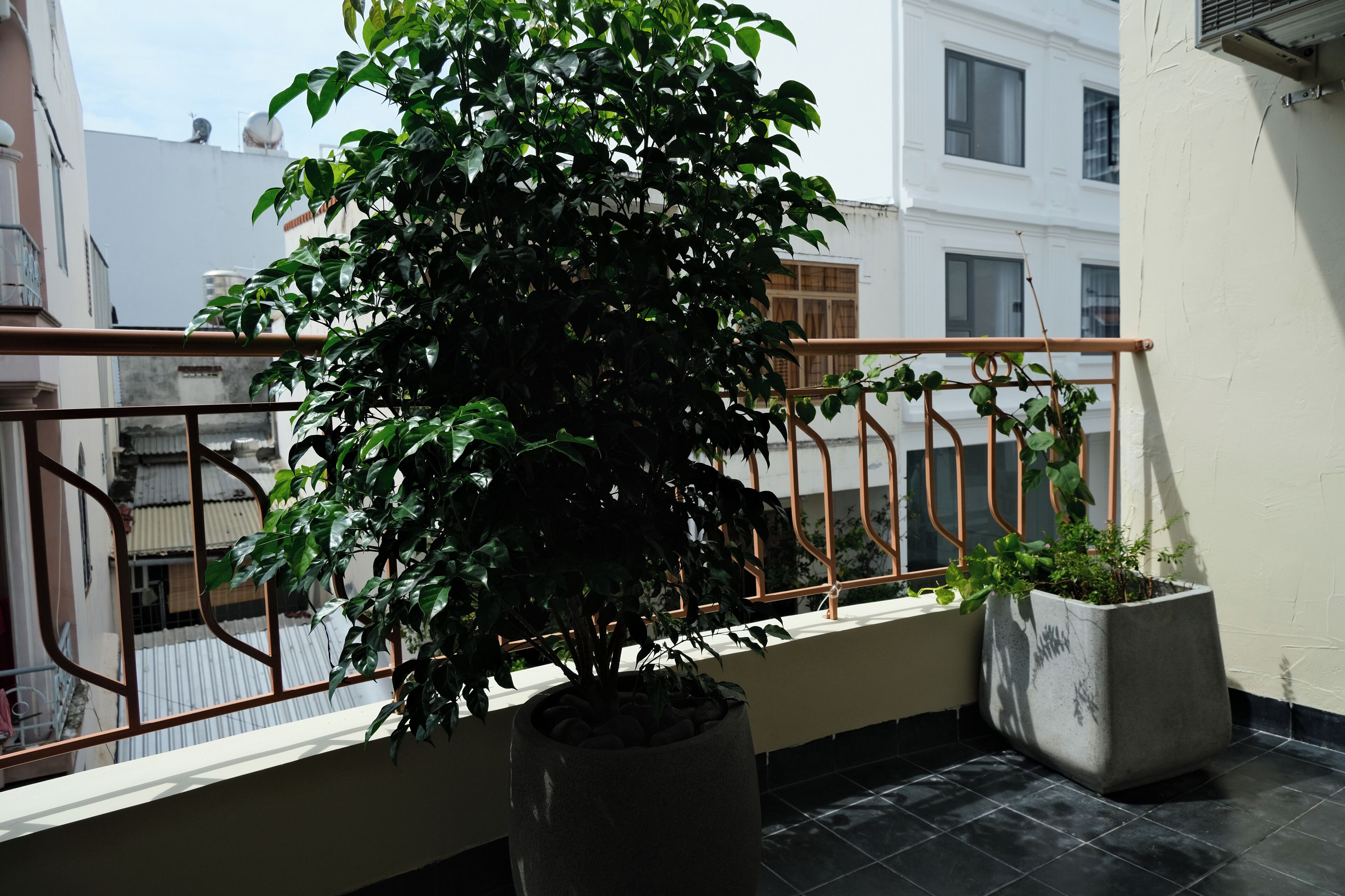 A balcony with a potted plant and a metal railing.
