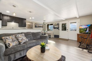 电视、DVD 播放器