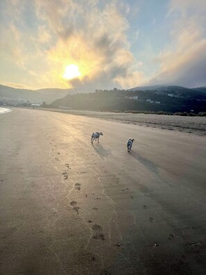 Playa
