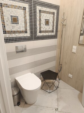 Douche, sèche-cheveux, serviettes fournies, savon