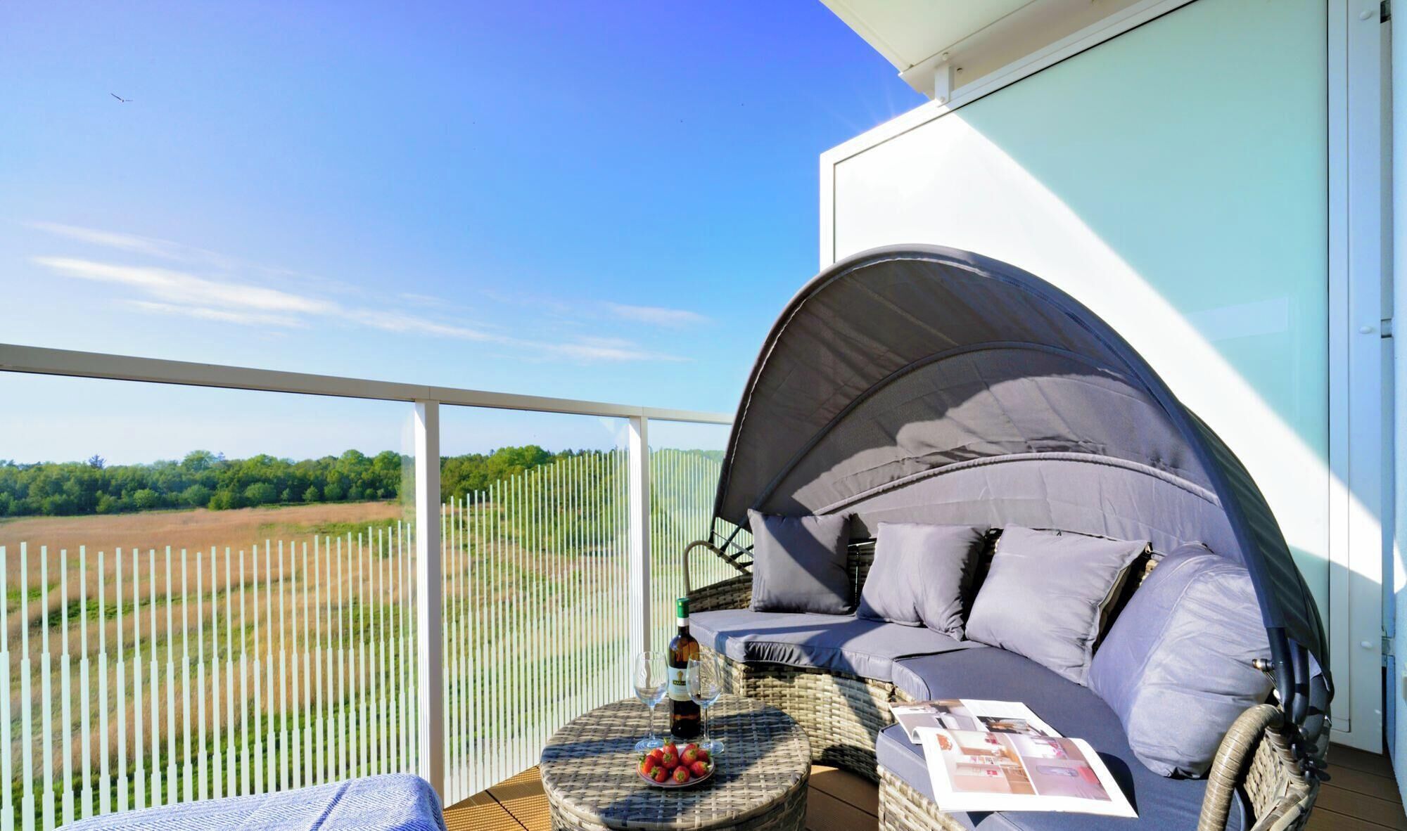 Klassiek appartement, uitzicht op park (D406) | Terras