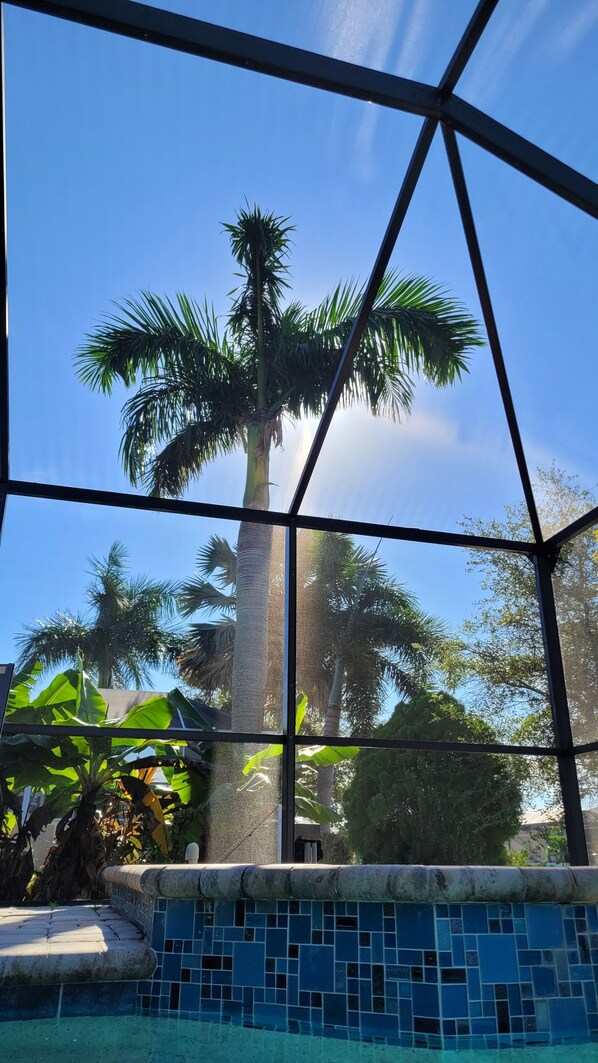 Alberca al aire libre y alberca climatizada