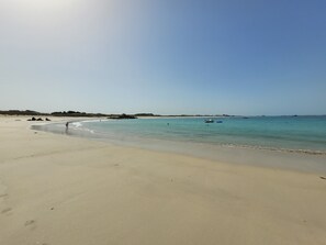Beach nearby, sun-loungers - Spacious new house near the Casino - PLOUESCAT - beach and relaxation (Plouescat)