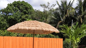 Twee houten lounge stoelen met witte kussens, een rieten parasol en een potpalmpje.