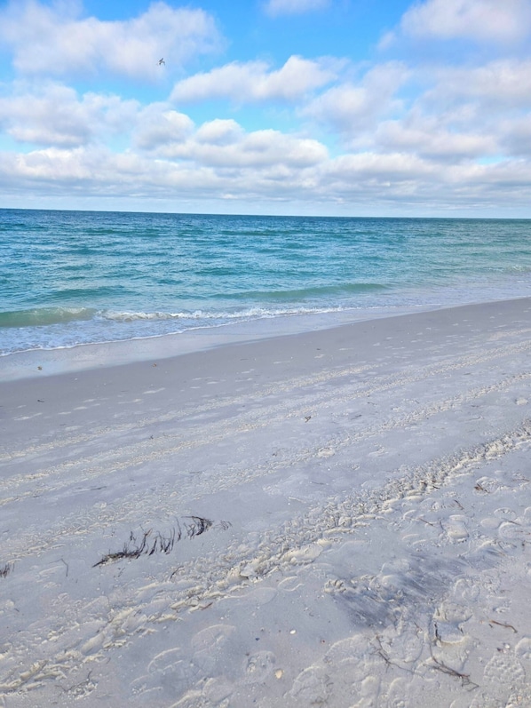 Beach nearby, sun-loungers, beach towels - Brand- new Cozy 2-bedroom cottage with a 2 minute walk to Clearwater Beach (Clearwater)