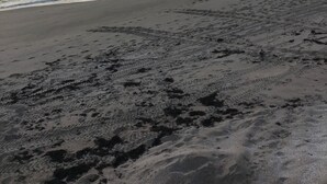 Een strand met een breed zandstrand en rustige golven.