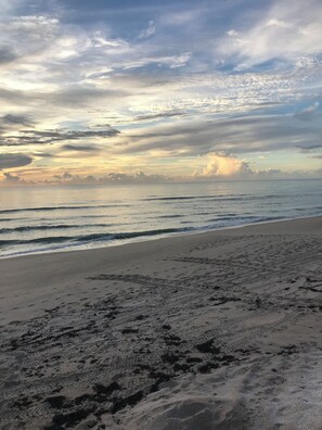 Beach - Fabulous 6-bedroom ocean front house in Melbourne Beach (Melbourne Beach)