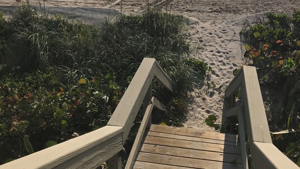 Een houten looppad dat naar een strand leidt, met een zandpad en begroeiing.