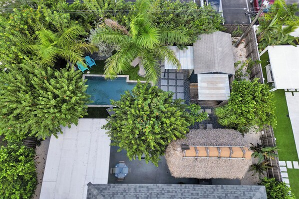 A rooftop pool area with a small pool, lounge chairs, and surrounding greenery.