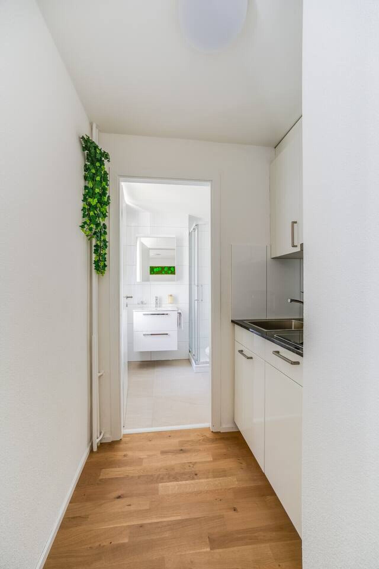 Kühlschrank, Ofen, Herdplatte, Geschirrspüler