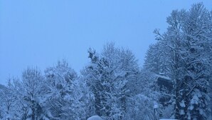Paisagem coberta de neve com um pequeno edifício e árvores.