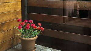 Een donkerhouten bank met een potplant en decoratieve verlichting.