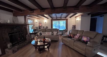 Fully Renovated Serene Log Cabin Escape in NW Metro ATL Powder Springs West Cobb