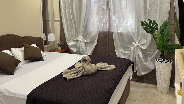 Ein Hotelzimmer mit Bett, Vorhängen, einer Zimmerpflanze und einer Klimaanlage.