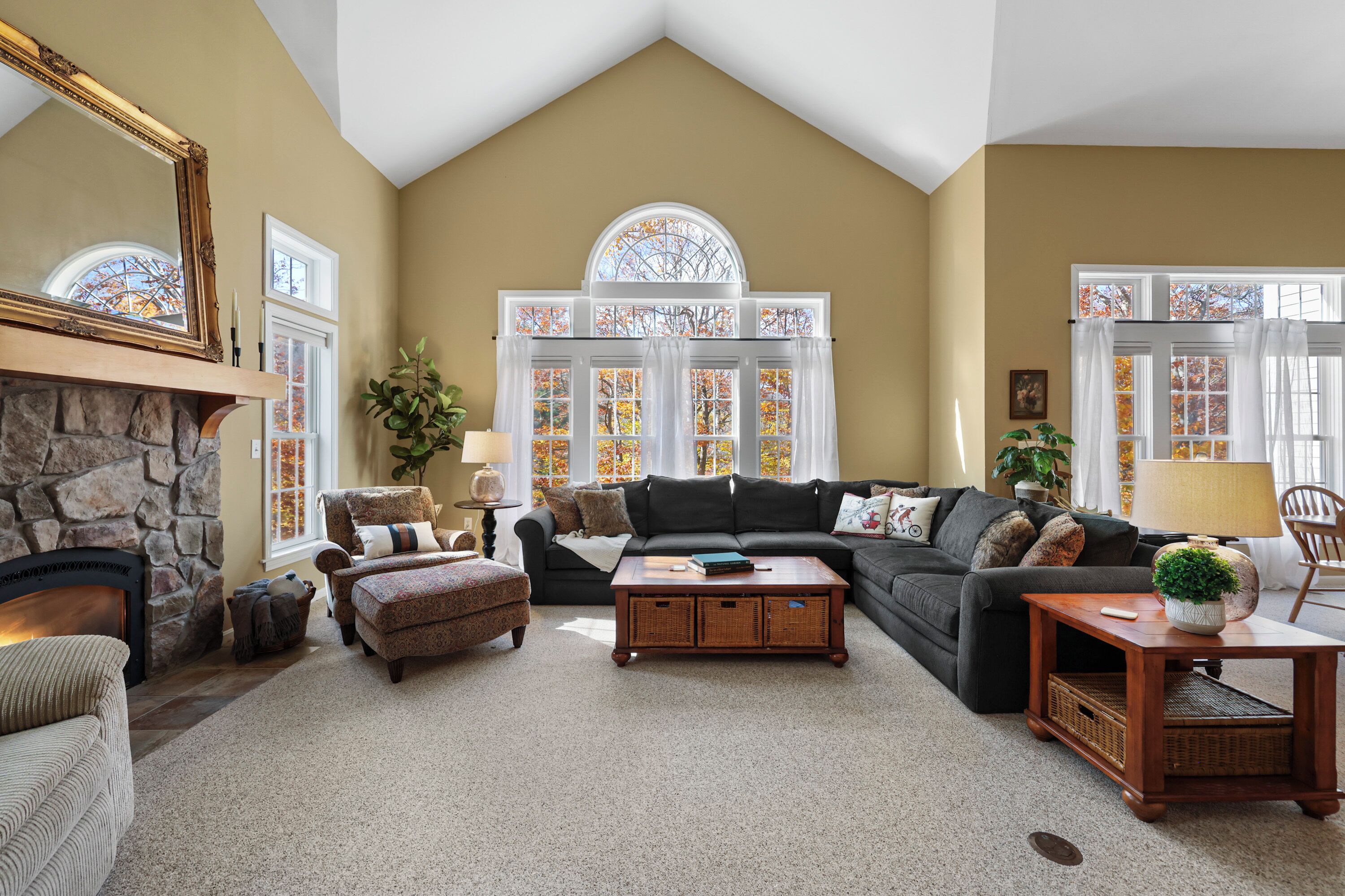 Smart TV, fireplace, ping pong, books