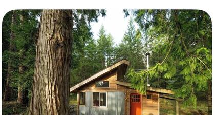 Perfect Meadow Cabin