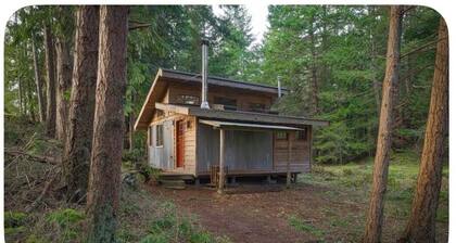 Perfect Meadow Cabin