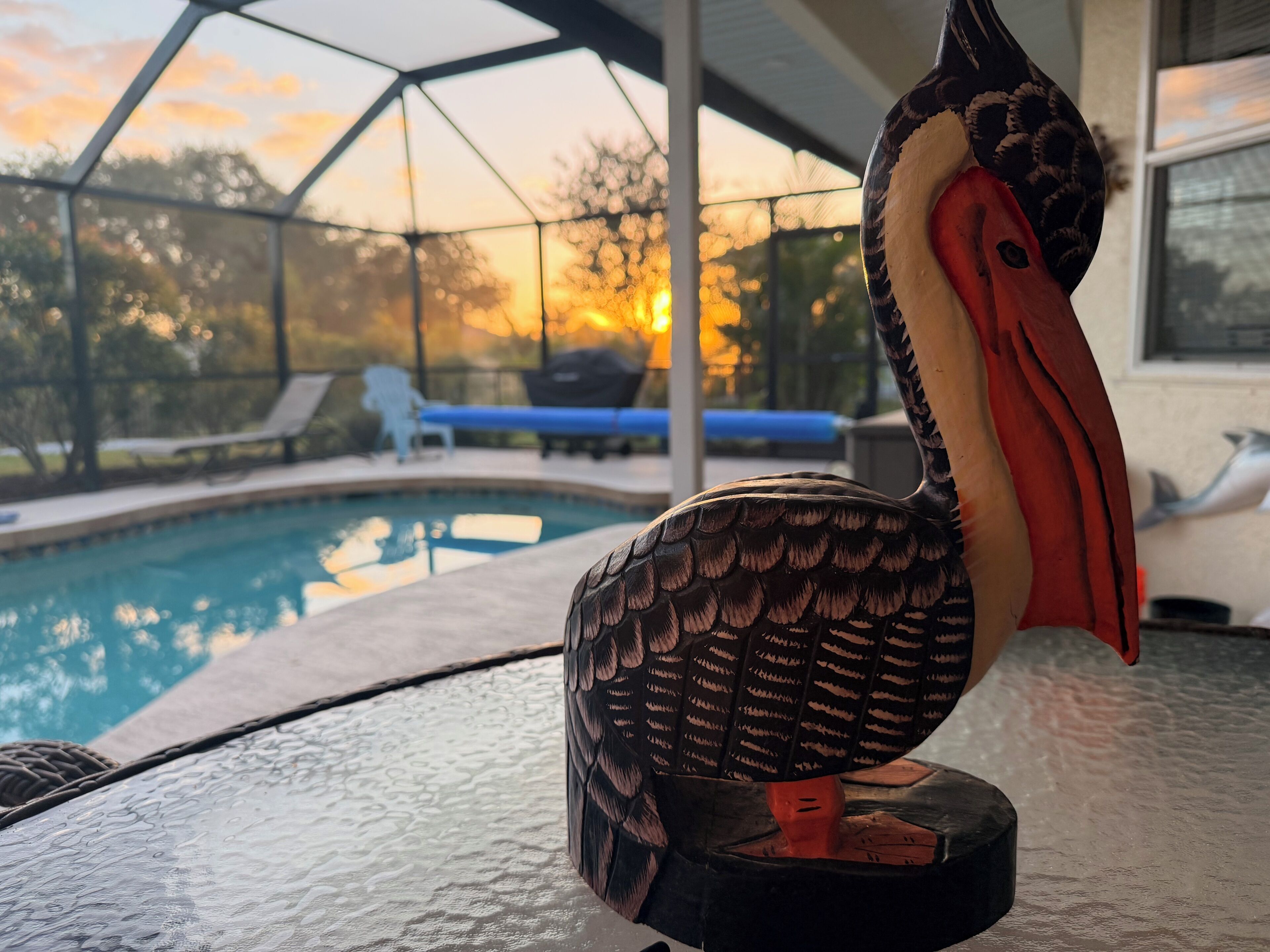 Blick auf ein Schwimmbecken mit einer dekorativen Vogelstatue, dem Pool selbst und einem überdachten Bereich mit Liegestühlen.