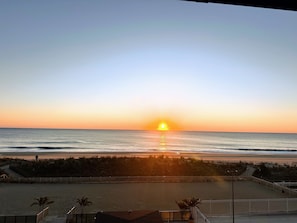 Beach - Cozy ocean front studio at Golden Sands Resort in enjoyable Ocean City (Ocean City)