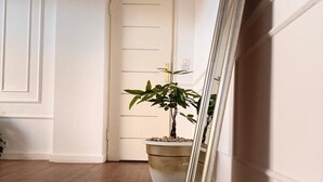 Ein Flur mit einer weißen Tür, einem Blumentopf und einem an der Wand angelehnten Spiegel.