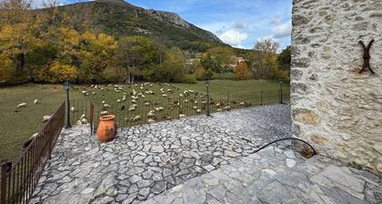 Stone House in Provence • Nature & Calm
