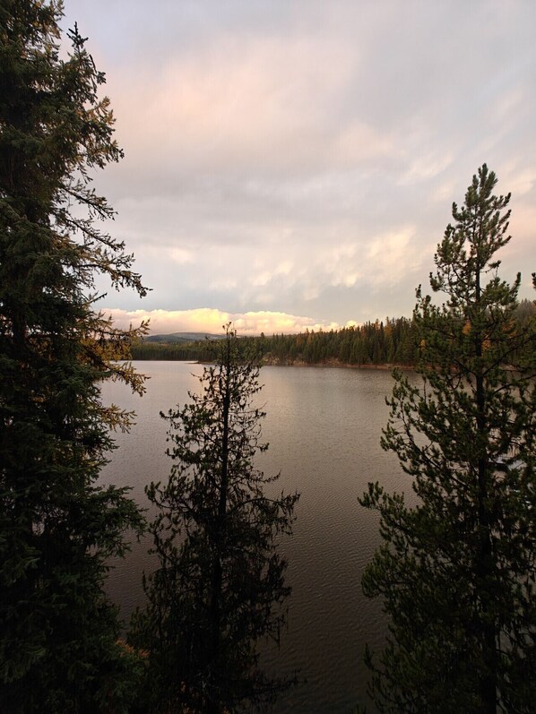 Ein See, umgeben von dichtem Wald.