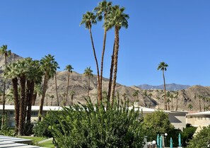 Property grounds - Desert Retreat in Rancho Mirage – Bright, Stylish Condo with Resort Amenities (Rancho Mirage)