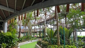 Un jardin intérieur avec du gazon synthétique, diverses plantes et une structure de passerelle en bois.