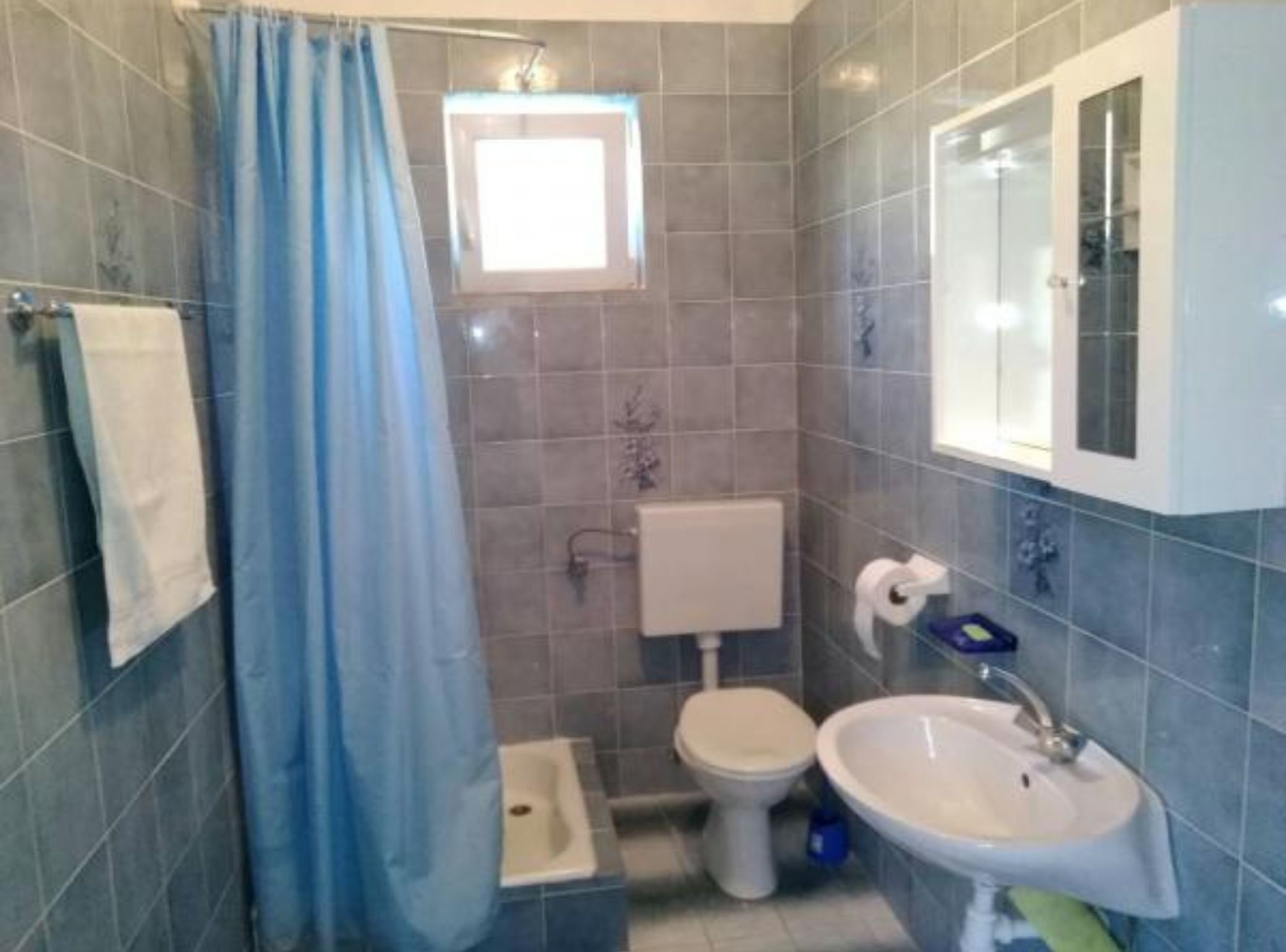 Une salle de bain avec un rideau de douche, des toilettes, un lavabo et une fenêtre.