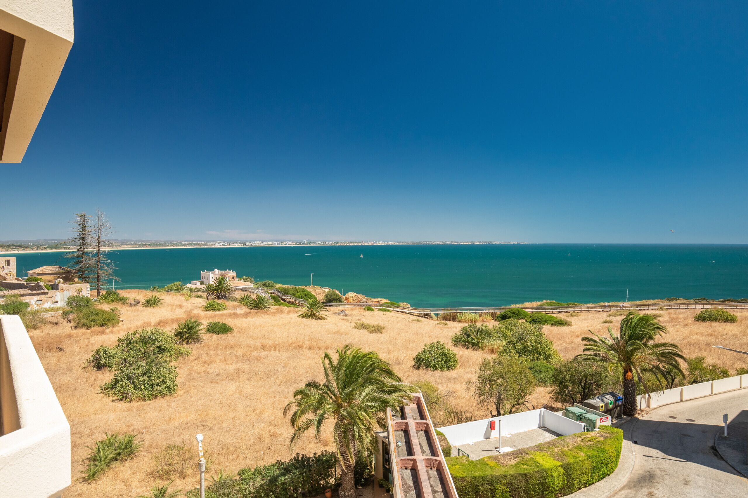 Uitzicht op de kust vanaf een balkon, met een strand, droog gras, palmbomen en een helderblauwe lucht.