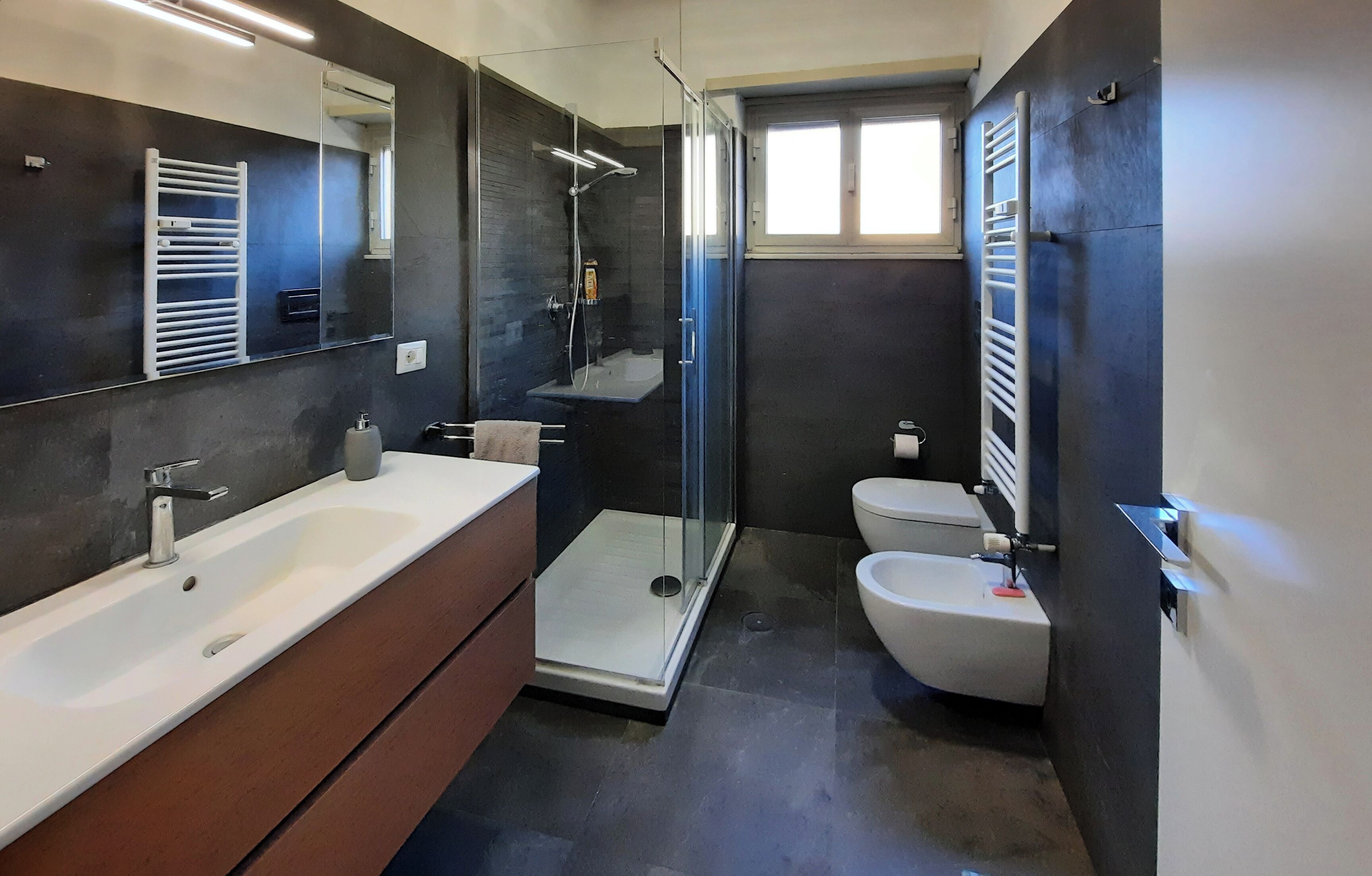 Shower, hair dryer, bidet, towels